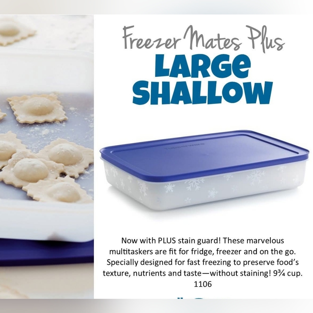 Freezer Mates Plus Large Shallow Container